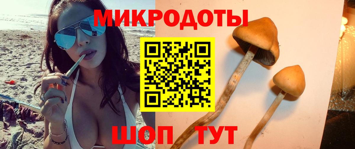 Рязань  Псилоцибиновые грибы мицелий  Вход с VPN 